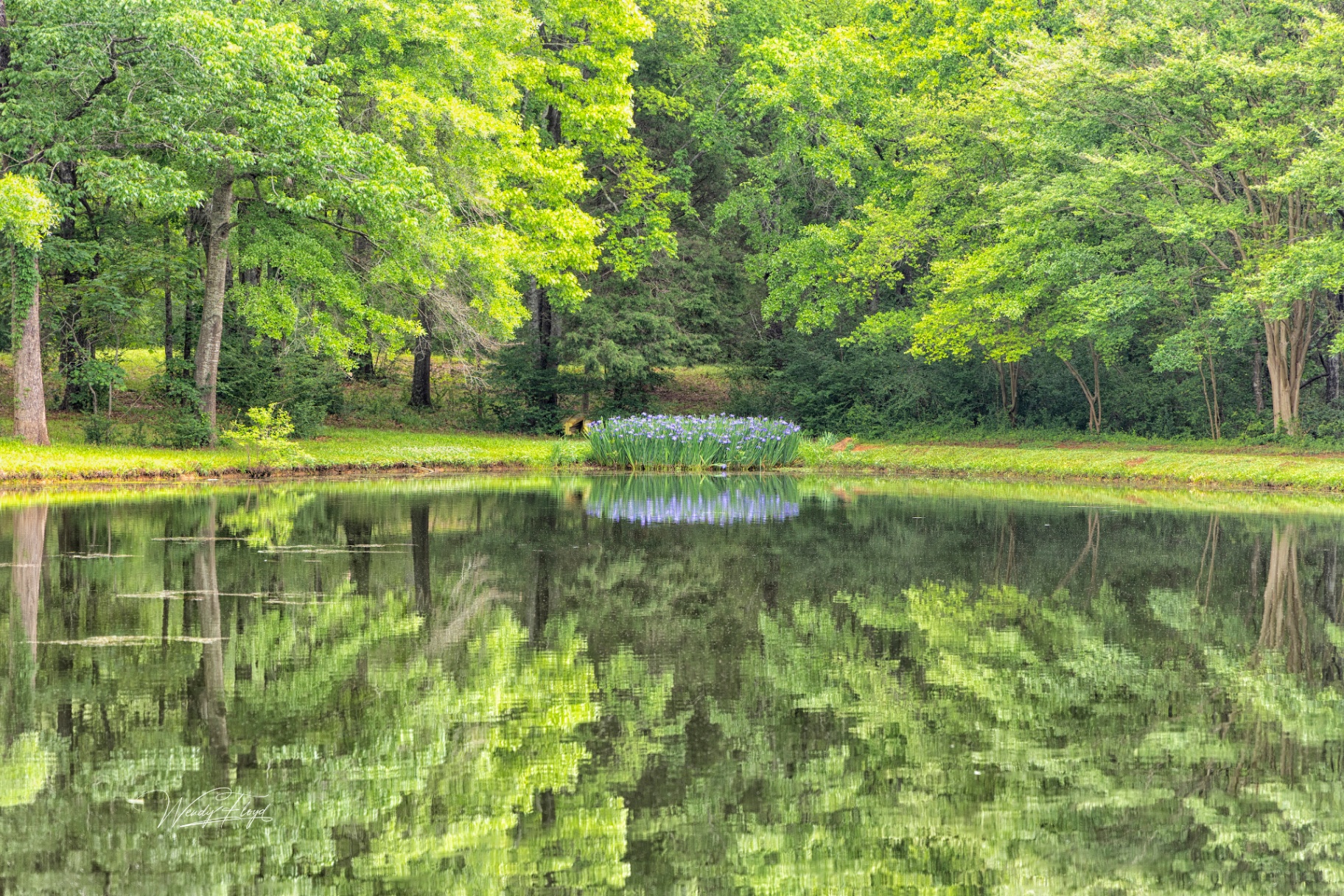 Colorful Bayou